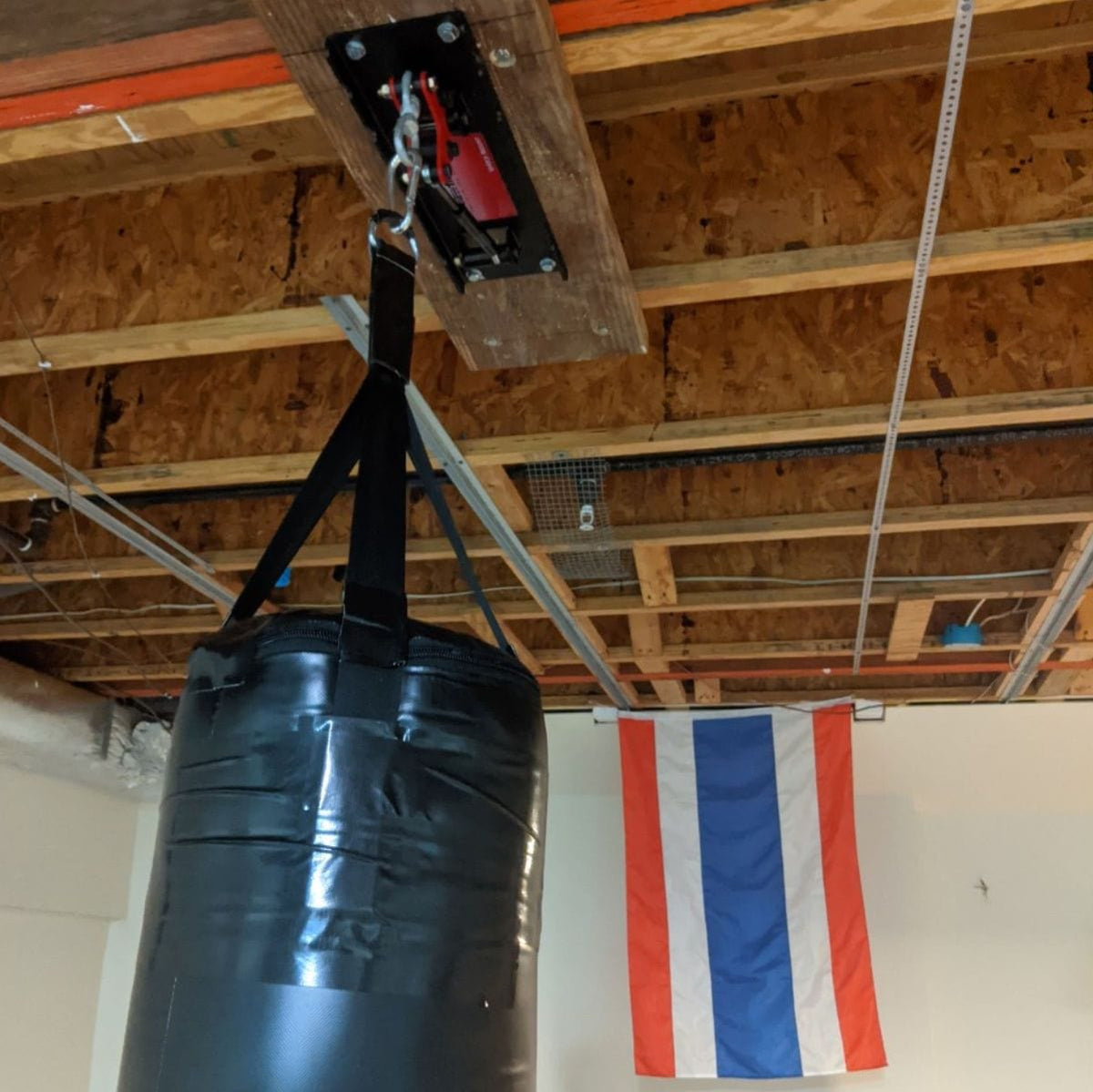 Everlast Heavy Boxing Bag Ceiling Mount 14in  Canadian Tire