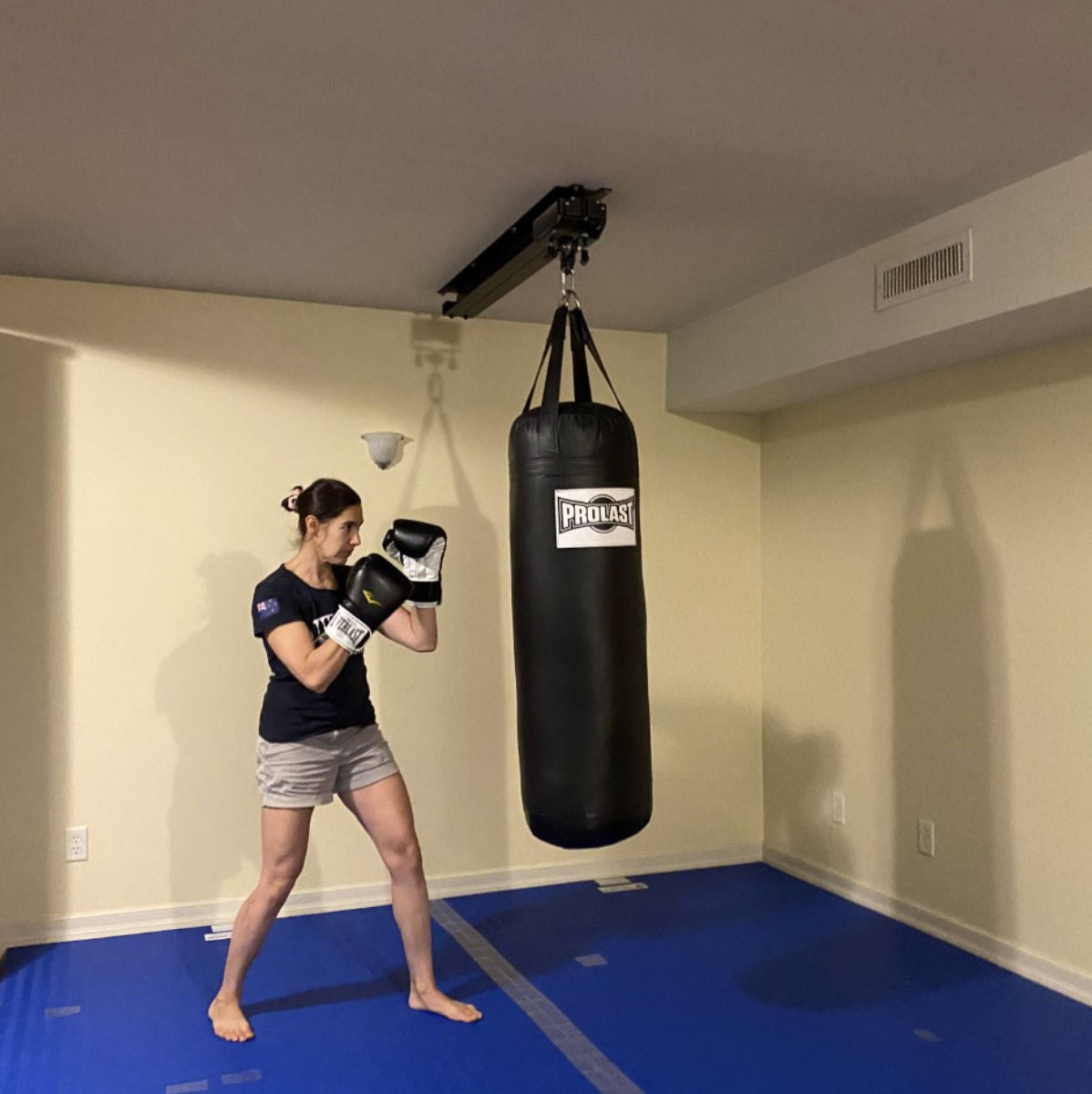 heavy bag rail system